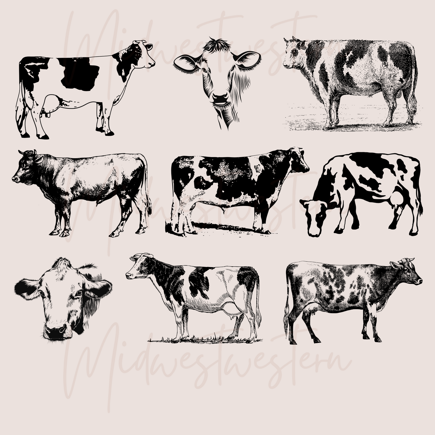 Cows Png