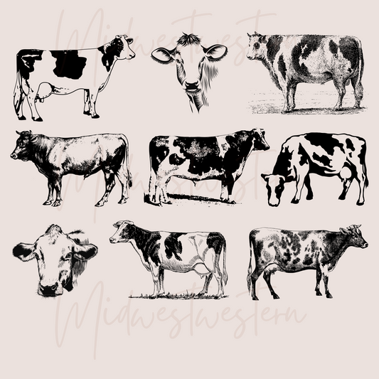 Cows Png