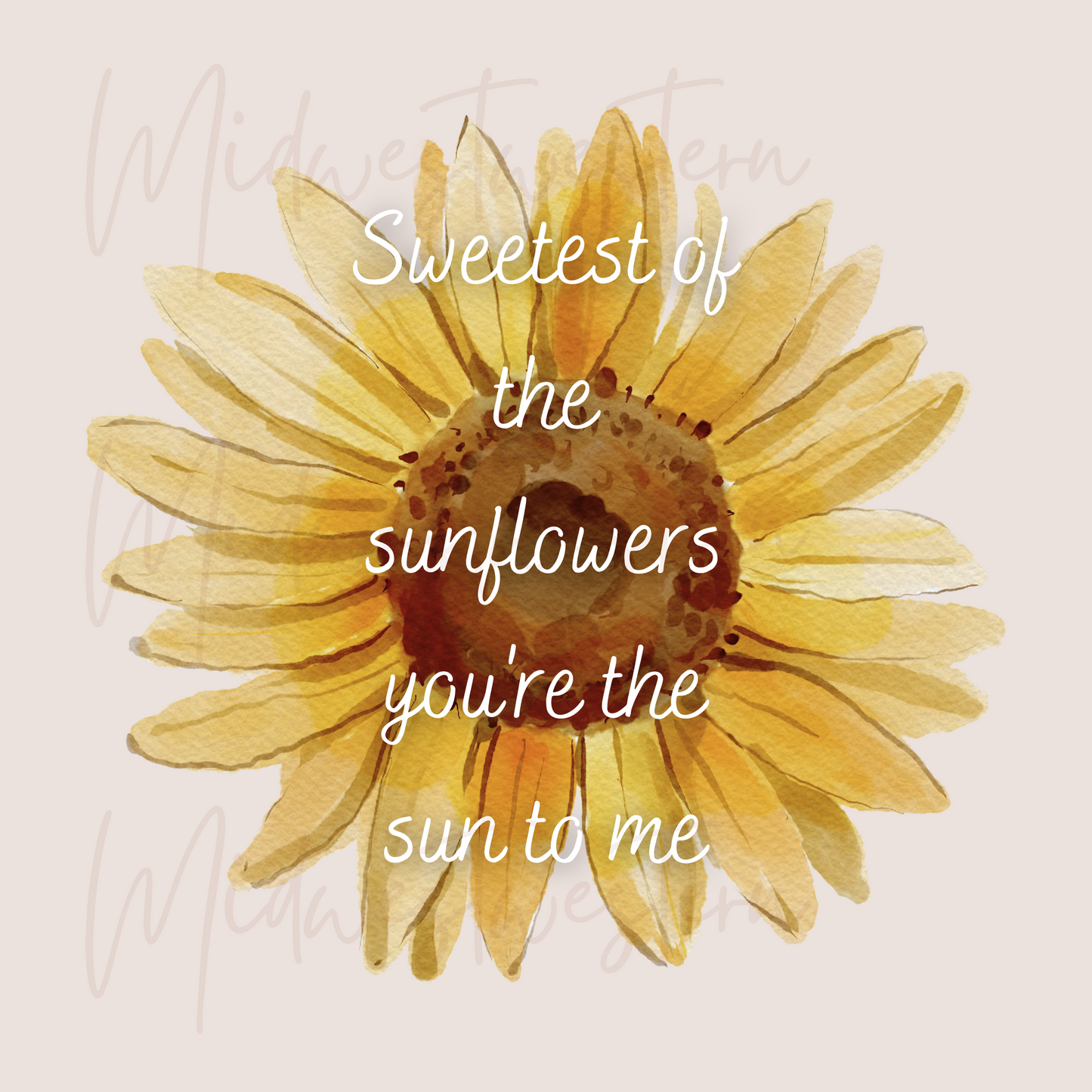 Sweetest of the Sunflowers Png